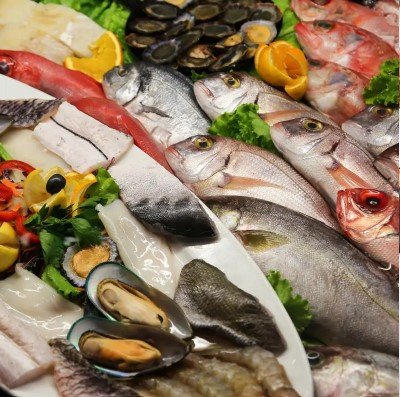 haccp plan for sea food