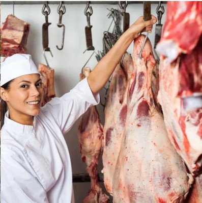 haccp plan for slaughter house