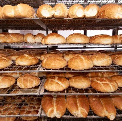 haccp plan writer for bakery product